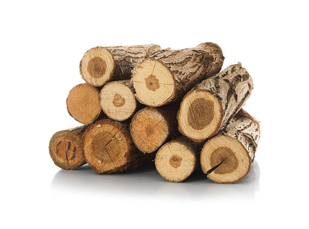 istock Pile of cut firewood isolated on white 2248410920