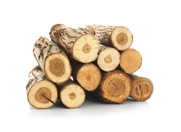 istock Pile of cut firewood isolated on white 2248410933