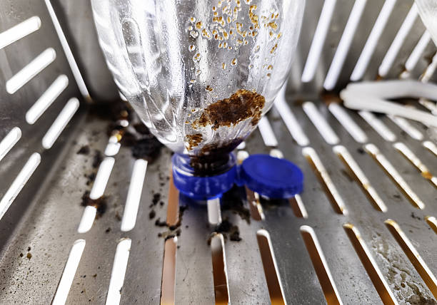 istock Used oil bottle fry 2248411055