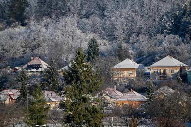 A cluster of rural houses sits at the base of a frosted hillside, illuminated by warm winter sunlight. Snow-covered roofs and bare trees create a peaceful seasonal atmosphere, contrasting with the golden tones of the buildings. The scene captures the quiet charm of a small village in winter.