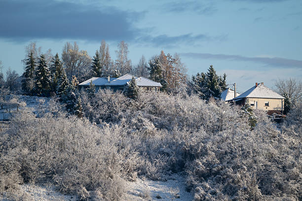 Two houses sit on a frosty hillside surrounded by dense, snow-covered shrubs and tall evergreens. Soft winter sunlight highlights the rooftops and the icy textures of the landscape. The peaceful scene captures the quiet beauty of a rural area in winter.