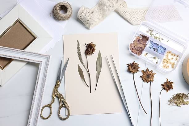 Flat lay composition with dry flowers and paper on white marble table