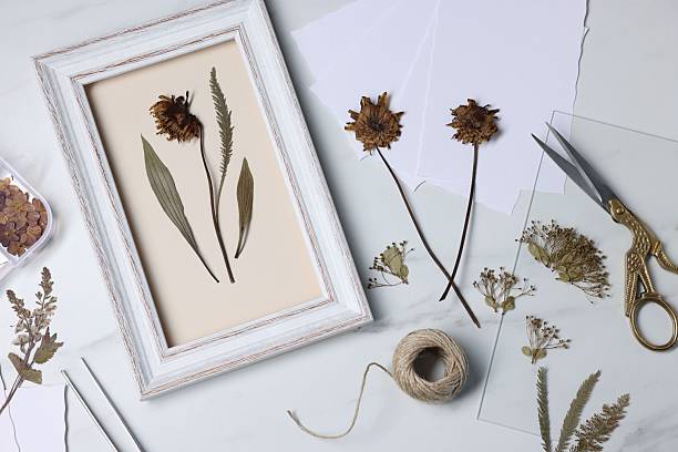 istock Flat lay composition with dry flowers and picture frame on white marble table 2248418714