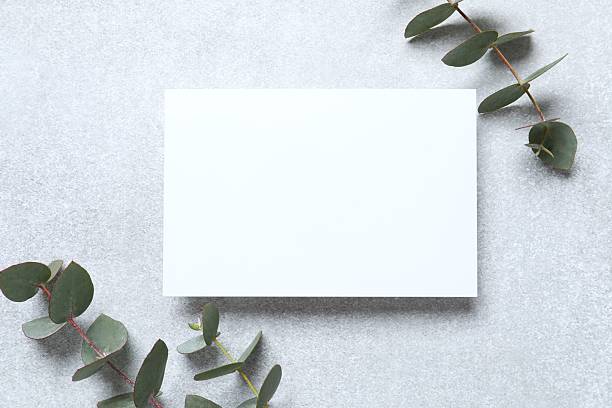 istock Wedding invitation mockup, blank party invitation card with eucalyptus branch 2248421148