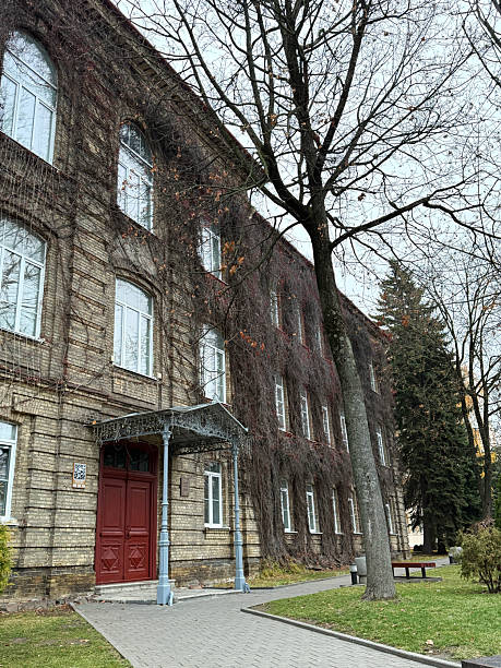 istock Old brick building facade covered in ivy during autumn 2248421179
