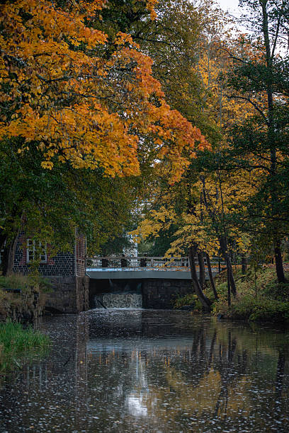 istock Autumn river landscape with trees and a small bridge reflected in calm water. 2248422569