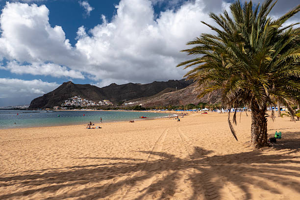 istock Playa de Las Teresitas in Tenerife, Canary Islands 2248423066