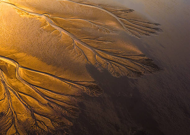 istock Sunrise Over Tidal Tree Patterns on the Qiantang River, Haining, Zhejiang, China 2248423791