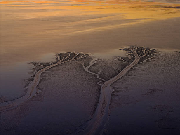 istock Sunset Tide Tree Patterns on Qiantang River, Haining, Zhejiang, China 2248423804
