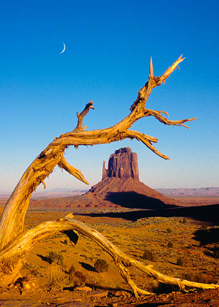 istock Navajo Tribal park, Monument valley. 2248425238
