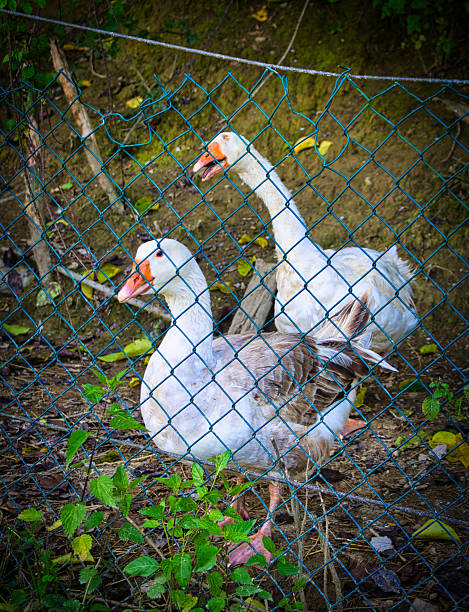 Photo taken in Wehrheim, Germany