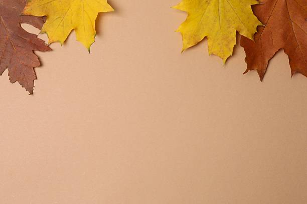 istock Bright autumn frame with leaves on beige background 2248426268