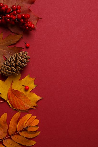 istock Beautiful autumn composition with leaves on red background, top view 2248426272