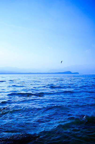 Dolphins swimming and jumpig on the sea near Skiathos island, Greece