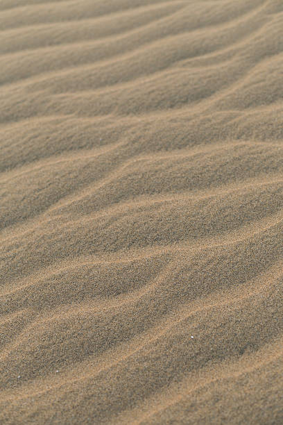 Golden sand with gentle ripple patterns creates a calm, tranquil desert landscape. The soft texture and warm tones evoke solitude and peacefulness in an open, natural setting.