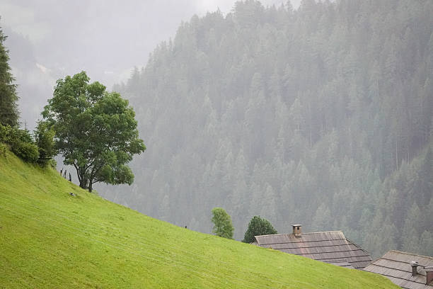 Captivating landscape featuring a verdant hillside where a full tree stands. Rustic houses with tiled roofs nestle at the hill's base, all set against a misty mountain backdrop densely covered with trees.