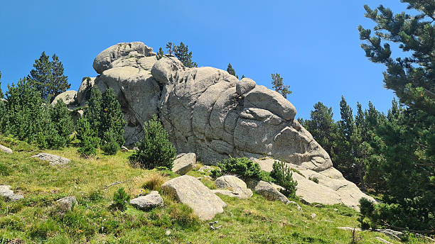 The Esquerdes de Rotjà are one of the most remarkable landscapes in the Canigou massif, in the Catalan Pyrenees (French Eastern Pyrenees). They comprise the largest of the quartz veins that cross the vast Canigou-Carança massif (a massif of Hercynian gneiss and granite) roughly from east to west. The quartz formations take the form of jagged and tormented rocks, sometimes resembling animals or the petrified faces of ancient giants. Overlooking both sides of the mountain (and thus the Mantet and Py nature reserves below), the rocky ridge also offers a magnificent panorama of the Canigou to the north and the Costabonne to the south (which marks the Franco-Spanish border). Below the rocky ridge, where the pine forests of the Prats-de-Mollo-la-Preste national nature reserve give way to high-altitude grasslands, the granites of Costabonne also form magnificent rocky landscapes, also marked by their strange shapes, conducive to pagan legends.