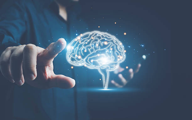 istock Brain inside the hands of the businessman. Human head and brain.Deep learning , Machine learning and artificial intelligence , AI Technology, thinking concept.The concept of the business idea. 2248445874