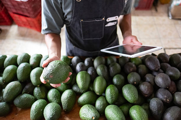 avocado seller at the fruit and vegetable market