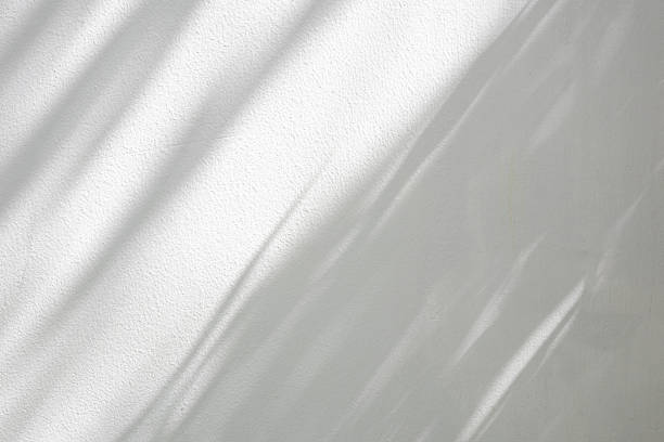 istock Abstract natural tree branch leaves shadow on white wall background 2248447464