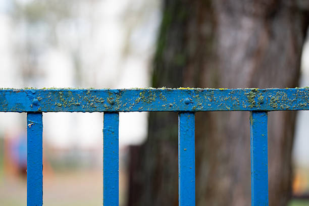 A close-up view of a blue metal fence lightly covered with patches of green moss along the top edge. The contrast between the vivid paint and the organic growth creates an interesting blend of texture and color. The softly blurred background enhances the focus on the weathered, outdoor detail.