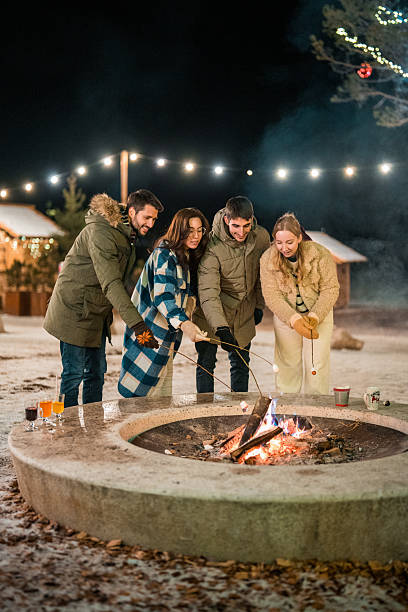 istock Young Adults Toasting Marshmallows by Firepit in Winter Evening 2248448296