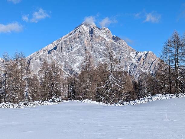 Majestic mountain in a winterscape and a forest