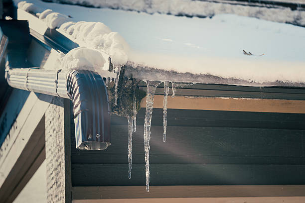 istock A close up of snow-covered gutter with icicles, sunlight, and a soaring bird. 2248448837
