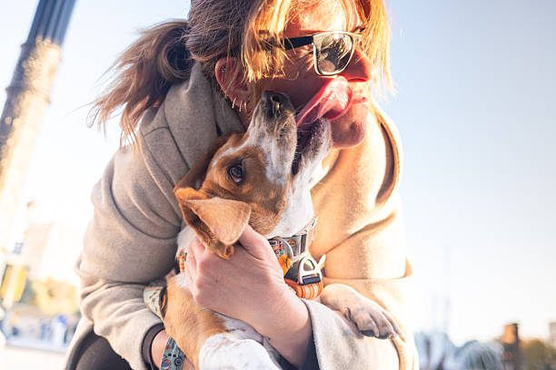 Adult woman in sunglasses smiling as she hugs her playful puppy that gives her a loving lick during a sunny urban walk, capturing joy, bond and carefree companionship