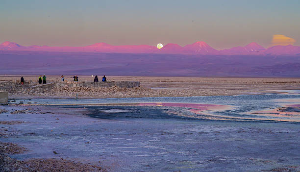 Laguna Chaxa is within the Los Flamencos National Reserve