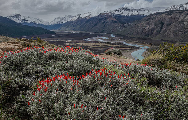 The Los Vueltas River Valley is near El Chalten and Mount Fitz Roy in Los Glaciares National Park