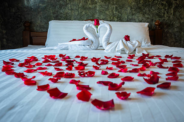 istock Two swans on a bed rolled from towels on a white bed with red roses specially decorated for honeymoon and valentines day in hotel. 2248455002