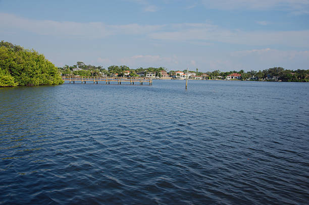 A weathered wooden piling rises from calm blue water, with a distant pier and row of houses along the shore. The scene conveys tranquil coastal life, outdoor serenity, and rustic texture.