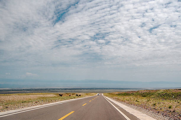 istock Open road under a sky with scattered clouds in a vast landscape 2248455906