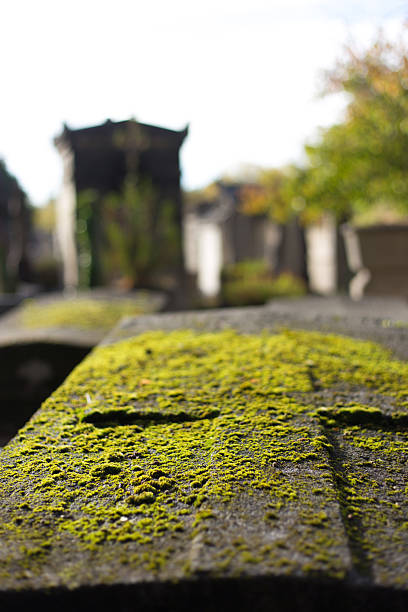 Paris, France: Mossy Grave in Pere Lachaise Cemetery, 11th arrondissement