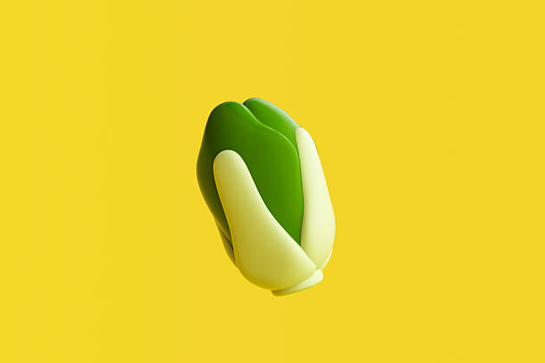 istock Carrot napa cabbage on yellow background. 3D Rendering. 2248458994