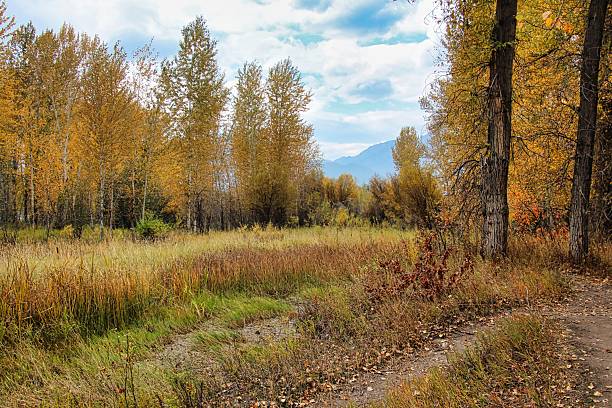 Hamilton is in the Bitterroot Valley in Southwestern Montana.  The Bitterroot River runs through the Bitterroot Valley amidst the aspens and the cottonwoods with many trails for walking and biking.