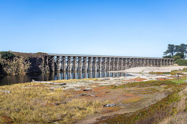 Historic Pudding Creek Trestle in Fort Bragg, California, converted from a former logging railroad bridge into a pedestrian and cycling path spanning the Pudding Creek watershed. The restored wooden trestle crosses the creek near the Pacific shoreline, providing scenic views for walkers and cyclists in MacKerricher State Park.
