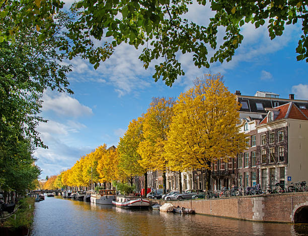 istock Yellow Autumn Leaves Amsterdam Canal 2248467853