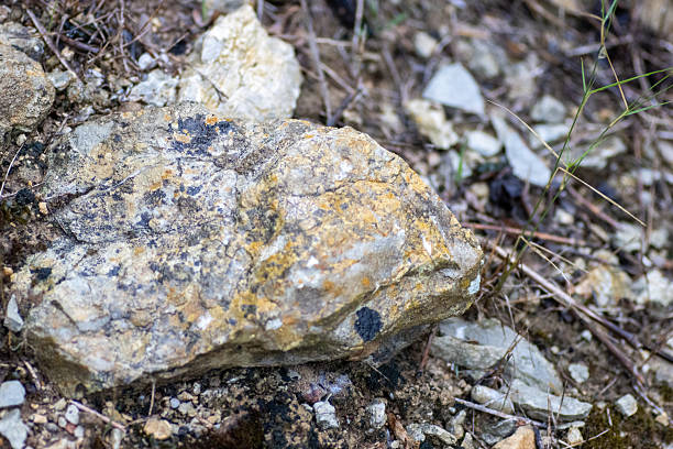 scattered rocks and twigs with dirt as a background