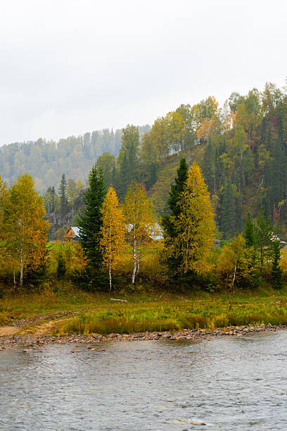 istock River bank with autumn foliage and trees 2248471706