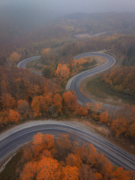 A winding S-shaped road cuts through bright orange autumn forest from above