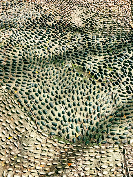 A textured stone pathway with scattered yellow and brown leaves, creating a natural, earthy pattern under soft light.