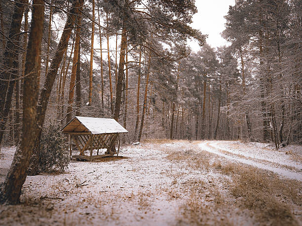 The first snowfall at the end of November.