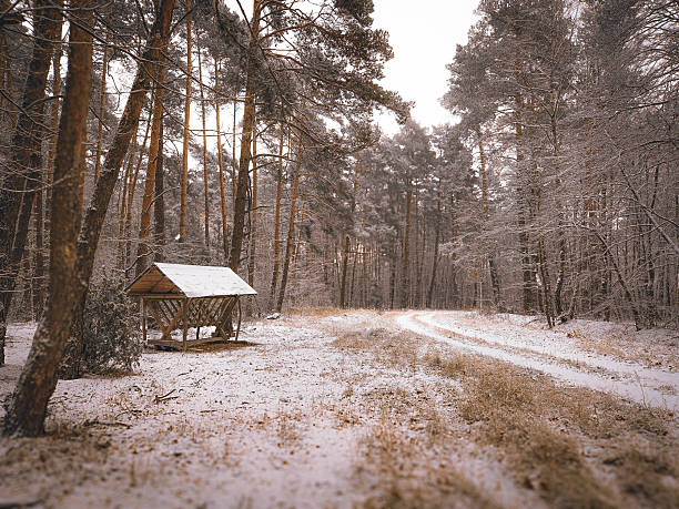 Backyard of fishing house in winter forest