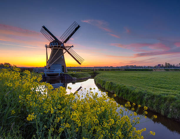 A serene sunrise bathes the historic Dutch windmill \