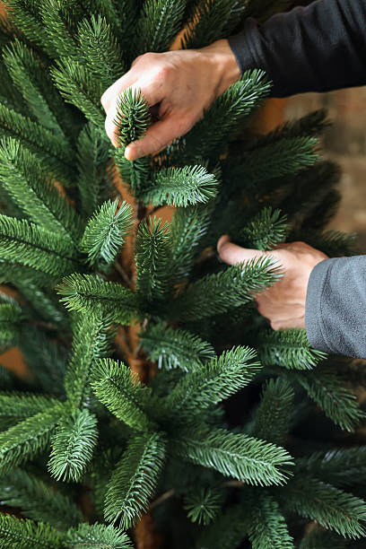 istock Setting fir tree for christmas. Christmas preparation 2248477431