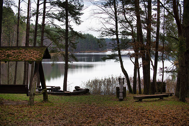 istock Serene Lakeside Scene With Trees, Bench, Swing, and Rustic Pavilion by Calm Forest Lake 2248478693
