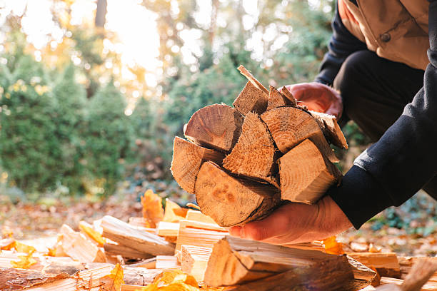 istock Person Carrying Stack of Firewood Outdoors 2248484893