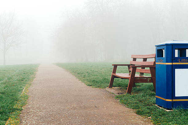 A wooden bench in a beautiful park surrounded by fog, with autumn leaves on the ground and trees in the background